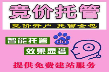 百度推广运营成功案例：行业领先企业的秘诀